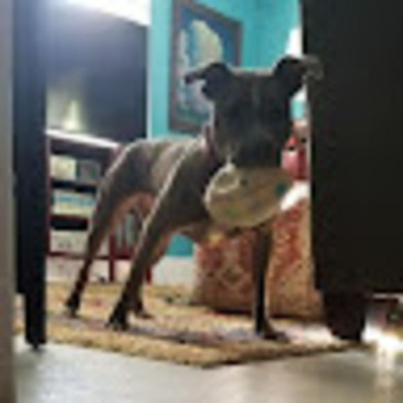 Meet your Posher, Emariana - Picture 1 of 1